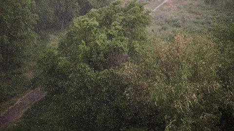 Snowfall and heavy rain in summer. In background are green trees, grass, path. Stock Footage 111472707