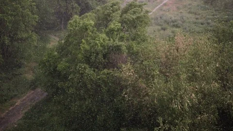 Snowfall and heavy rain in summer. In background are green trees, grass, path. Stock Footage 111472769