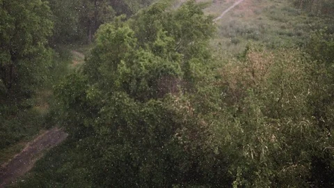 Snowfall and heavy rain in summer. In background are green trees, grass, path. Stock Footage 111472825