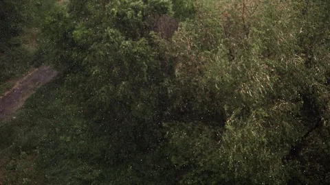 Snowfall and heavy rain in summer. In background are green trees, grass, path. Stock Footage 111472865