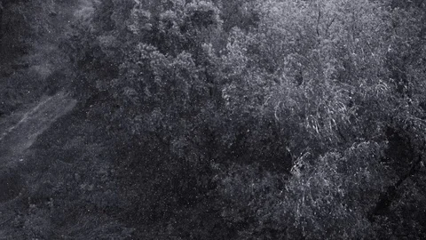 Snowfall and heavy rain in summer. In background are green trees, grass, path. Stock Footage 111472914