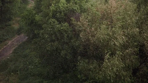 Snowfall and heavy rain in summer. In background are green trees, grass, path. Stock Footage 111472957