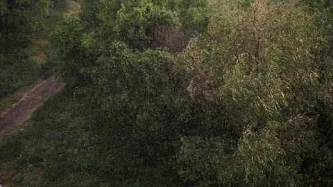 Snowfall and heavy rain in summer. In background are green trees, grass, path. Stock Footage 111473054