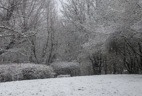 Snowfall and sub-zero temperatures in northern Germany in January Stock-Fotos