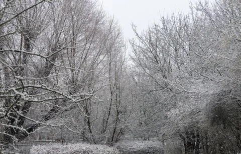 Snowfall and sub-zero temperatures in northern Germany in January Stock Photos