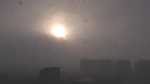 The snowfall and sun background in the city Video stock 167330291