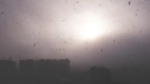 The snowfall and sun background Stock Footage 167330348