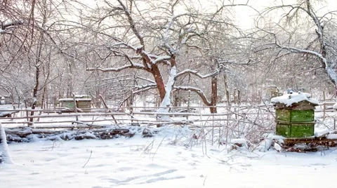 Snowfall on an apiary Stock Footage 68536987