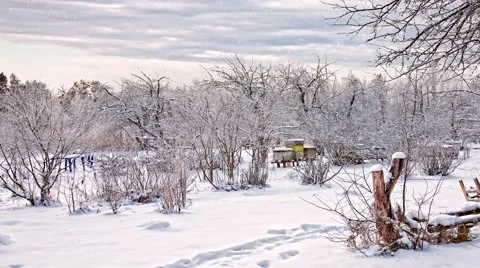 Snowfall on an apiary Stock Footage 68537014