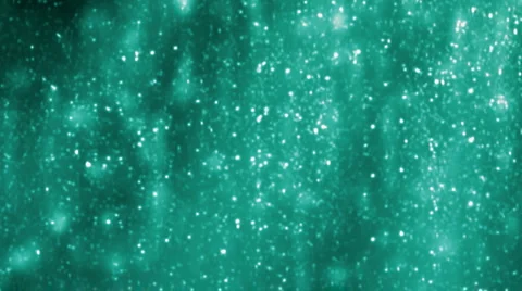 Snowfall. Aqua Stock-Footage 4533917