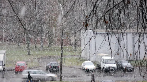 Snowfall in Autumn Stock Footage 94487359