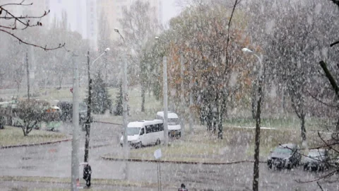Snowfall in Autumn Stock Footage 94493638