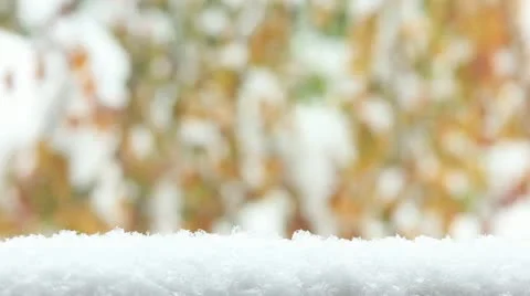 Snowfall at autumn sequences Video stock 12413656