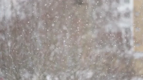 Snowfall on the background of blurry trees Stock Footage 221936988