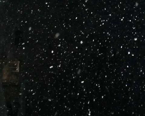 Snowfall on the background of the night sky Stock Footage 124274484