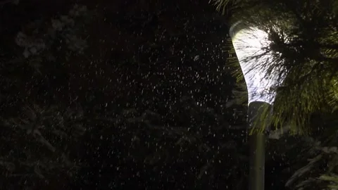 Snowfall on the background of a street lamp. Stock Footage 169600185
