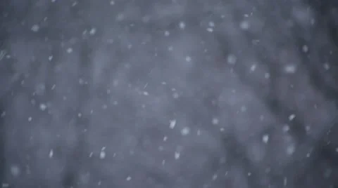 Snowfall on the background of trees Stock Footage 52924016