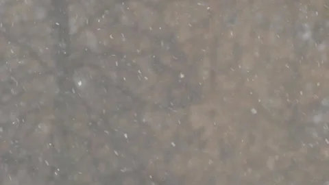 Snowfall beautiful 動画素材 298038773