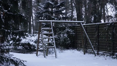 Snowfall in a beautiful forest in winter Video stock 148284645