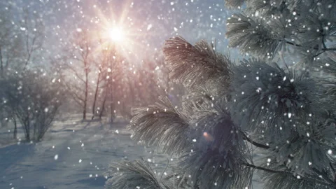Snowfall in beautiful winter park seamless loop slowmotion Stock Footage 108662491