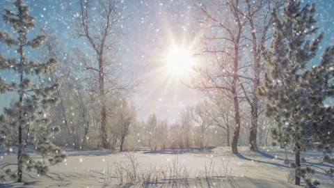 Snowfall in beautiful winter park seamless loop Video stock 109074780