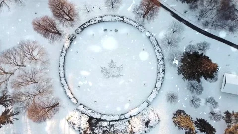 Snowfall Beginning Over Tall Green Forest Stock-Footage 330278891