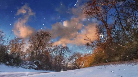 Snowfall Beginning Over Tall Green Forest Stock Footage 330278965