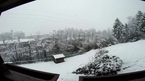 Snowfall with big snowflakes in winter Stock Footage 50486942