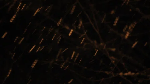 Snowfall at black background Stock Footage 33248189