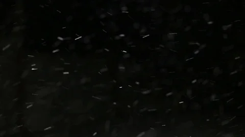 Snowfall on black background Stock Footage 102863144