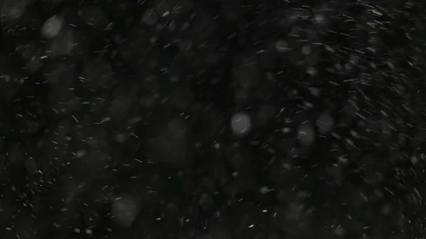 Snowfall on black background Stock Footage 102863196