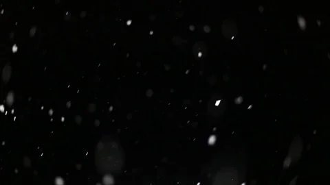 Snowfall on black background Stock Footage 102863221