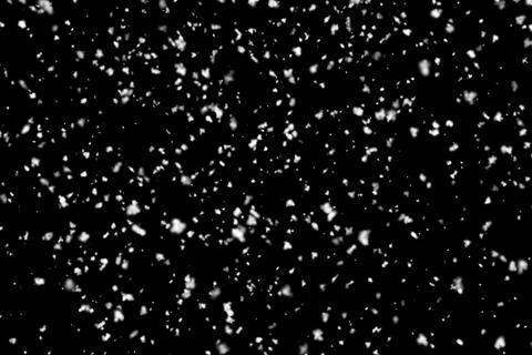 Snowfall on black background. Real falling snow. Flying snowflakes 库存插图