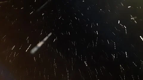 Snowfall black background Video Stock Footage 229872030