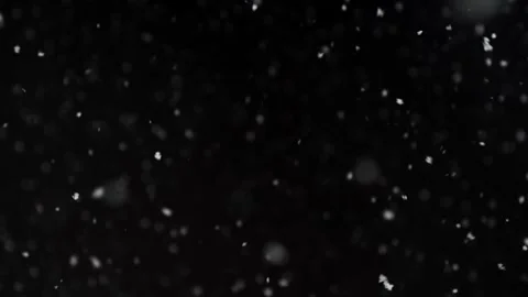Snowfall-blackbackdrop-02-1080 Stock Footage 244799433