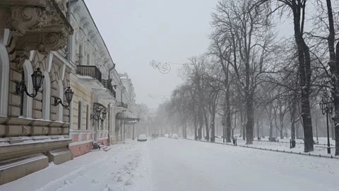 Snowfall on boulevard Stock Footage 143652778