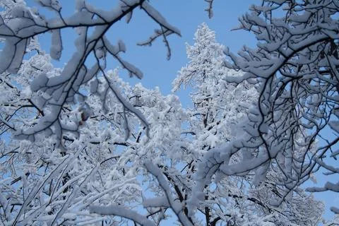 Snowfall in Branzi Stock Photos