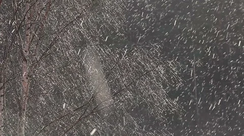 Snowfall in bright sun light on darker forest background. Christmas background. Stock Footage 58209720