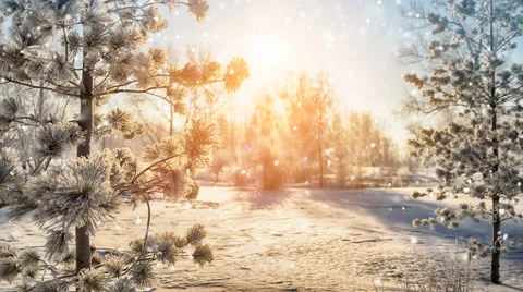 Snowfall in bueatiful winter park seamless loop slowmotion 4k UHD (3840x2160) Stock Footage 68658309