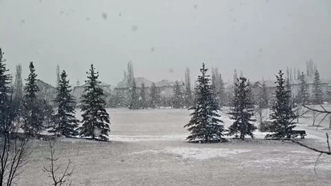 Snowfall in Canada Stock Footage 305197985