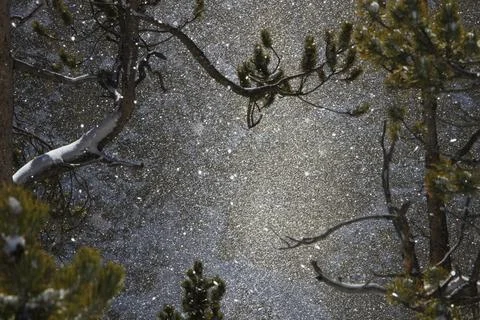 Snowfall at Canyon Stock Photos
