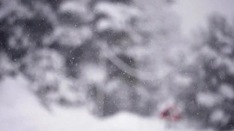 Snowfall car on the road in the forest slow motion Stock Footage 88444726