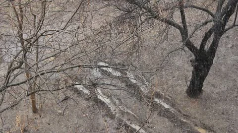 Snowfall at car tracks in the forest Stock Footage 20479135