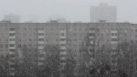 Snowfall in city on background of multi-storey houses and trees flying  bird Stock Footage 123921431