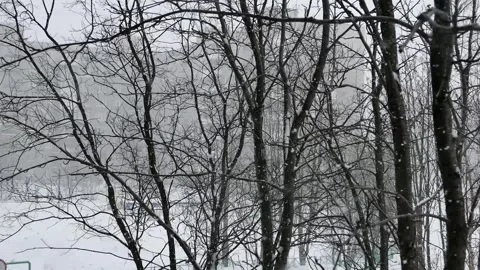 Snowfall in the city at the beginning of winter. Stock Footage 281729893