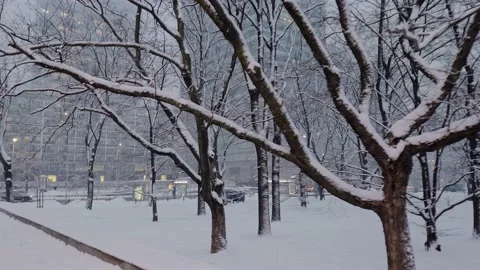 Snowfall in a city center Video stock 149081159