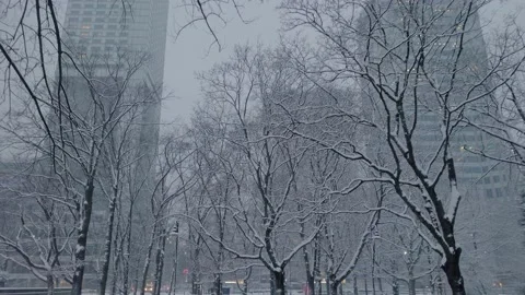 Snowfall in a city center Video stock 149081776