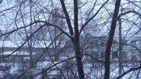 Snowfall in the city on a cloudy winter day, snowbound branches of trees. Stock Footage 86696297