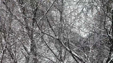 Snowfall in the city Stock Footage 47415618