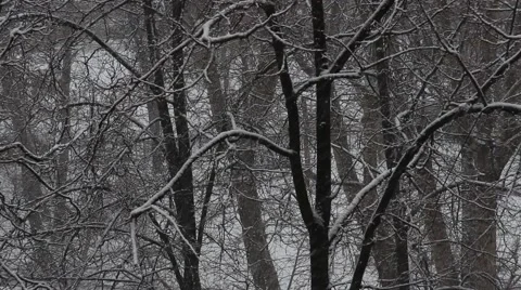 Snowfall in city Stock Footage 59842494